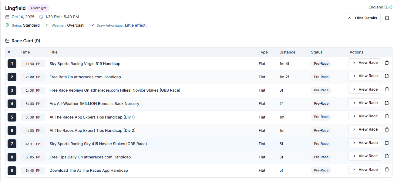 Race Data API Screenshot