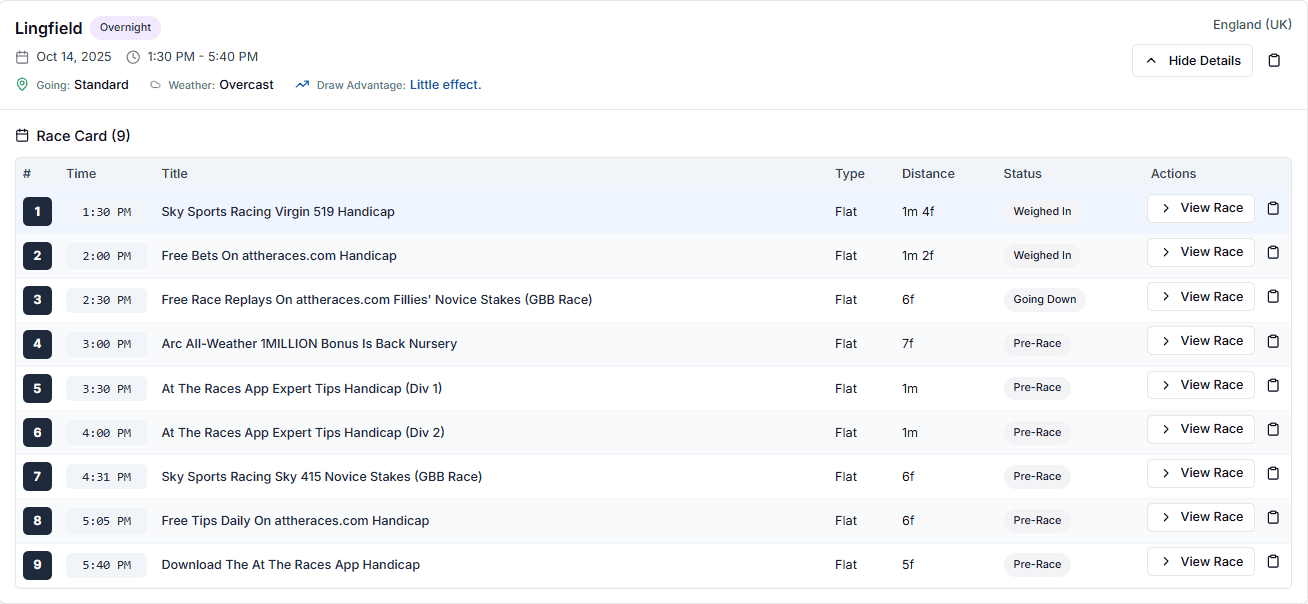 Race Data API Screenshot