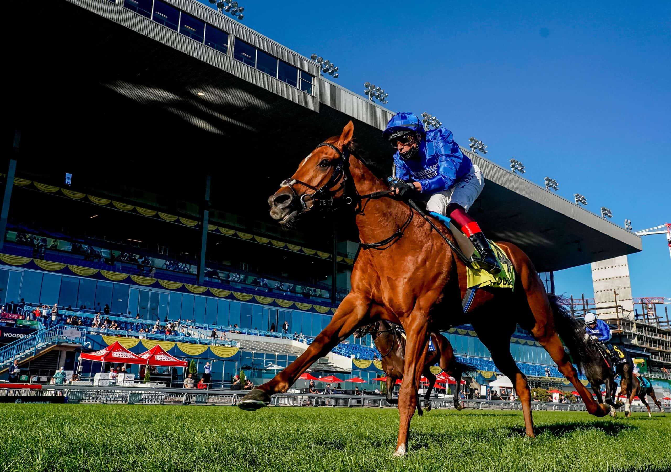 Podium grows global reach in new data partnership with Woodbine Racetrack